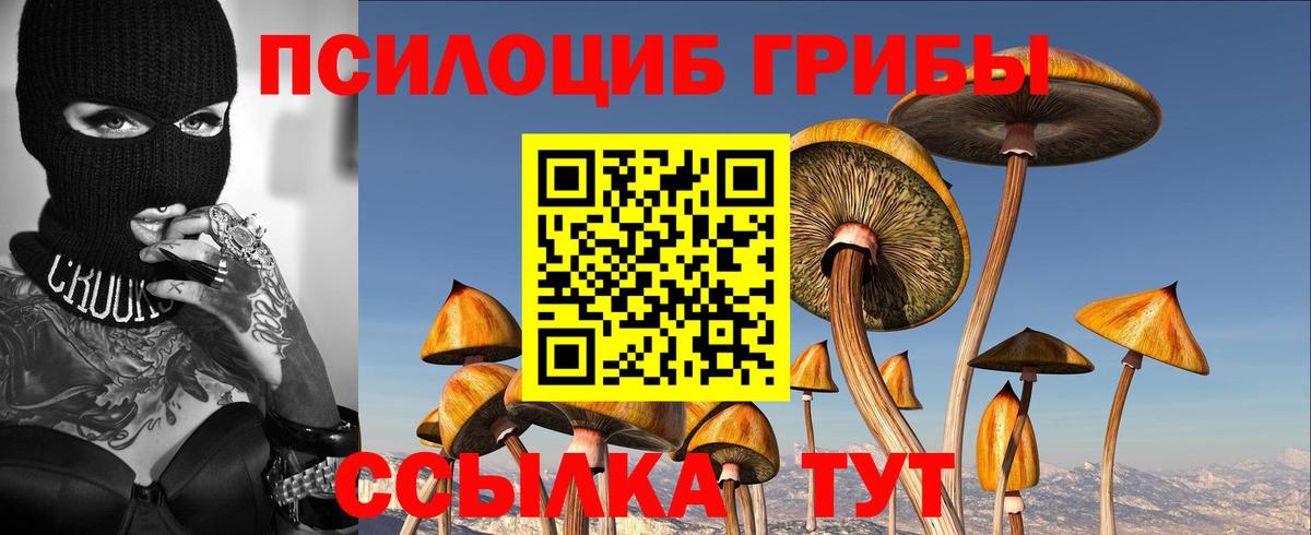 Псилоцибиновые грибы MAGIC MUSHROOMS Набережные Челны